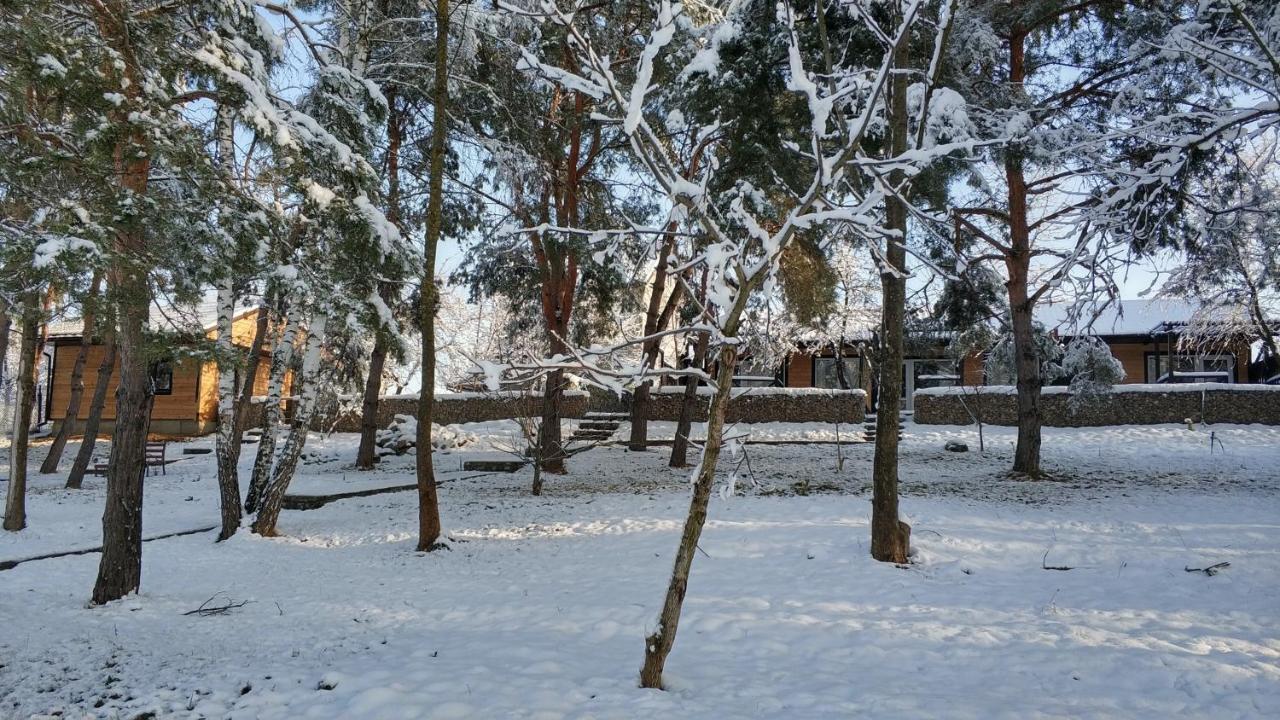 Воллен Zhvanets Εξωτερικό φωτογραφία