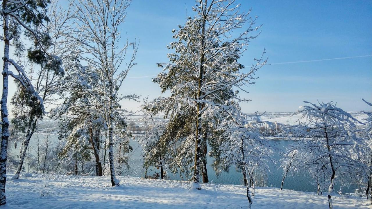 Воллен Zhvanets Εξωτερικό φωτογραφία